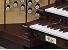 Organ of the Week