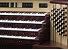 Organ of the Week