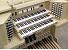 Organ of the Week