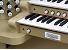 Organ of the Week