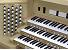 Organ of the Week