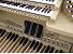 Organ of the Week