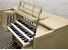 Organ of the Week