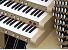 Organ of the Week