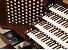Organ of the Week