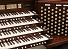 Organ of the Week