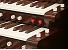 Organ of the Week