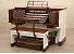 Organ of the Week
