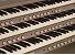 Organ of the Week
