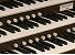 Organ of the Week