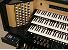 Organ of the Week