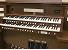 Organ of the Week