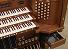 Organ of the Week