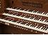 Organ of the Week