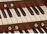 Organ of the Week