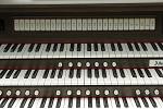 Organ of the Week