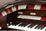 Organ of the Week