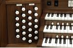 Organ of the Week
