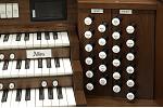 Organ of the Week