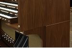 Organ of the Week