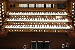 Organ of the Week