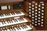 Organ of the Week