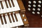 Organ of the Week