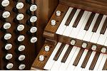 Organ of the Week