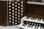 Organ of the Week
