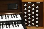 Organ of the Week