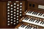 Organ of the Week