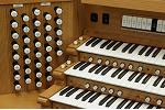 Organ of the Week