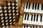 Organ of the Week
