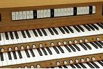 Organ of the Week