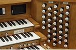 Organ of the Week