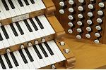 Organ of the Week