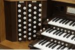 Organ of the Week