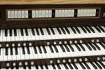 Organ of the Week