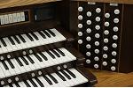 Organ of the Week
