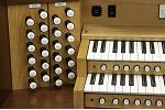Organ of the Week