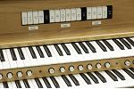 Organ of the Week