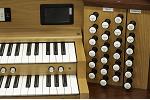 Organ of the Week