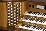 Organ of the Week