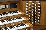 Organ of the Week