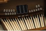 Organ of the Week
