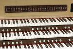 Organ of the Week