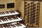 Organ of the Week