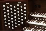Organ of the Week