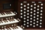 Organ of the Week