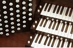 Organ of the Week